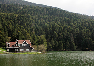İRO - Bolu